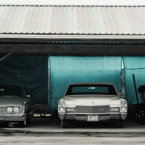 shawn-xu-cNT9pzqj-h8-unsplash shawn-xu-cNT9pzqj-h8-unsplash
